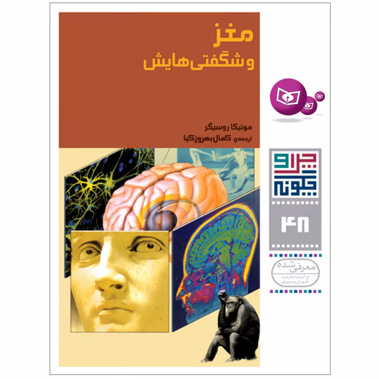 کتاب چرا و چگونه 48 مغز و شگفتی هایش اثر مونیکا روسیگر انتشارات قدیانی
