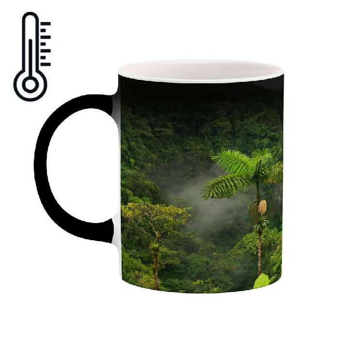 ماگ حرارتی کاکتی طرح منظره مدل mgh17752