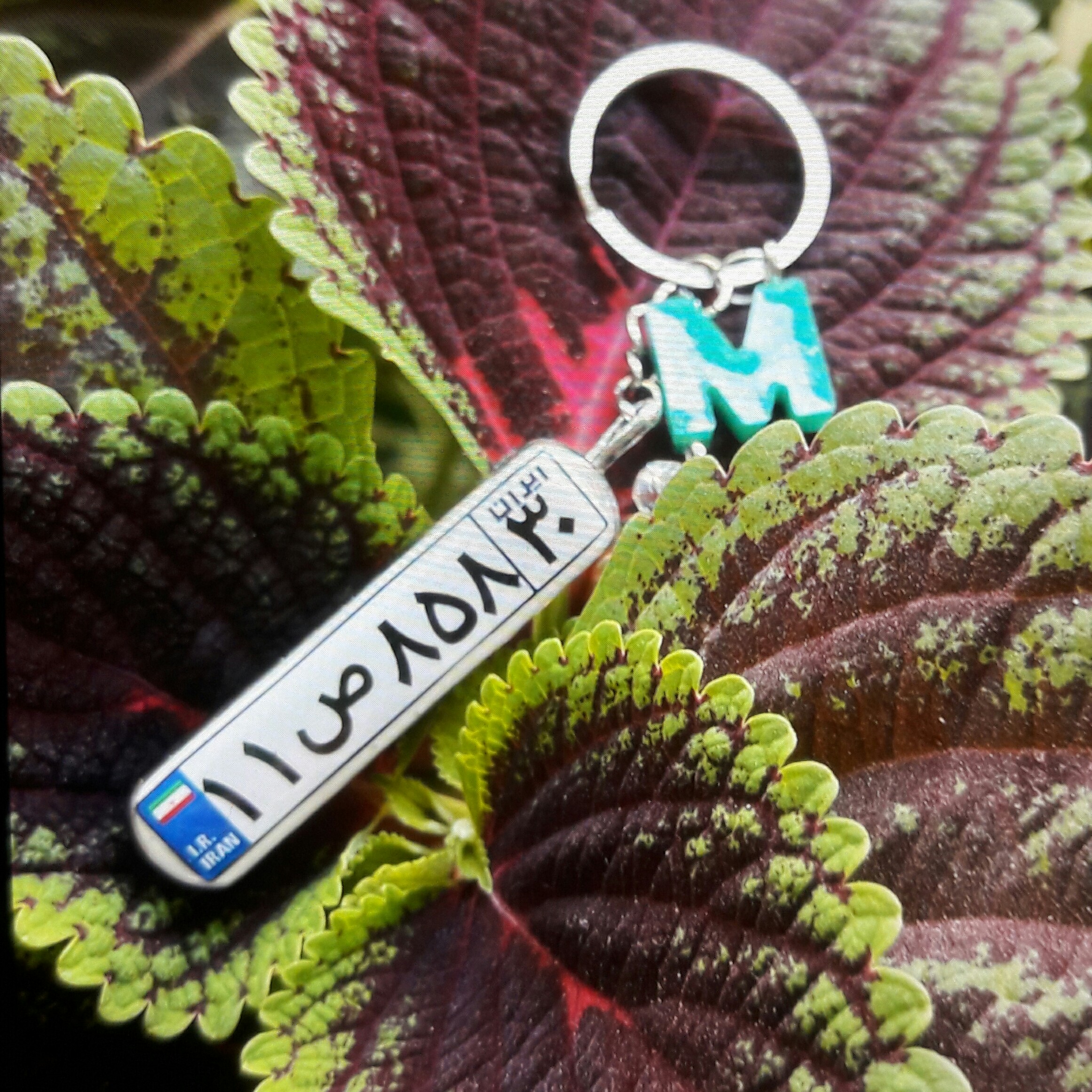 جا کلیدی پلاک ماشین رزینی