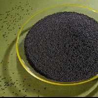 تخم شربتی (تخم‌ریحان ) 100 گرم 