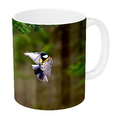 ماگ طرح گنجشک مدل NI860