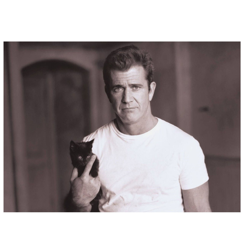 تابلو شاسی مدل بازیگران مشهور فیلم و سینما - مل گیبسون کد55 | دنیای قاب