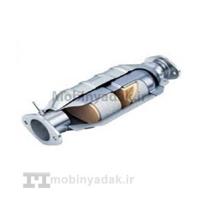 کاتالیزور دیگنیتی