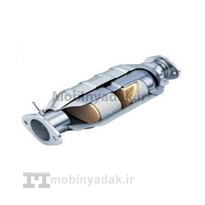 کاتالیزور دیگنیتی