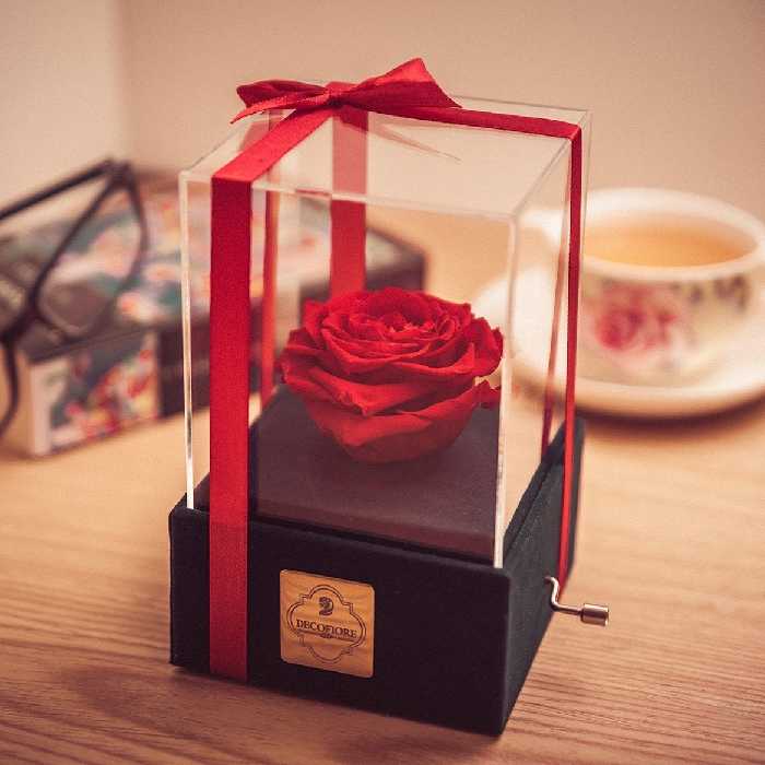 جعبه موزیکال گل ماندگار دکوفیوره مدل رز جاودان ملودی های عاشقانه 