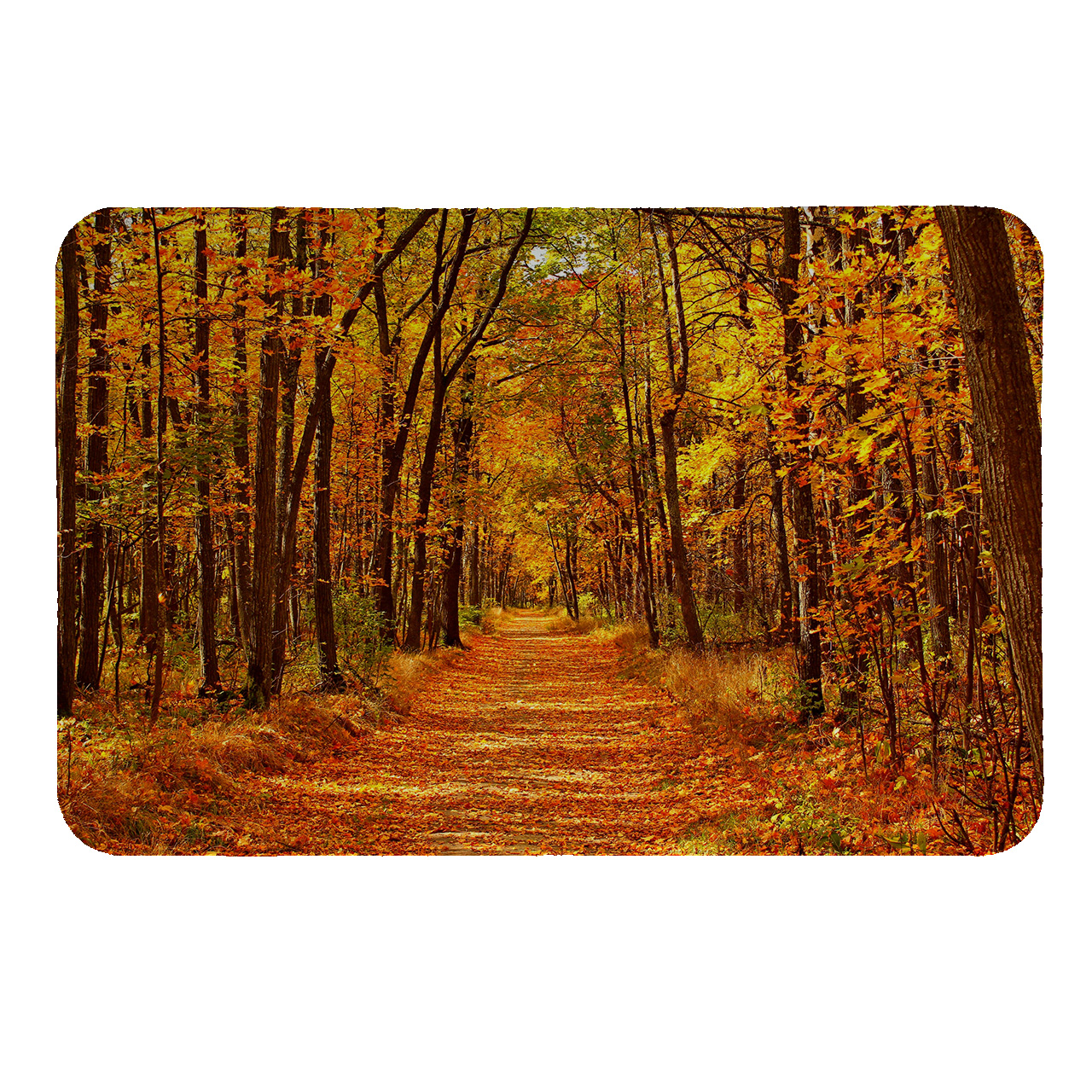 رطوبت گیر کنار سینک کد 5540