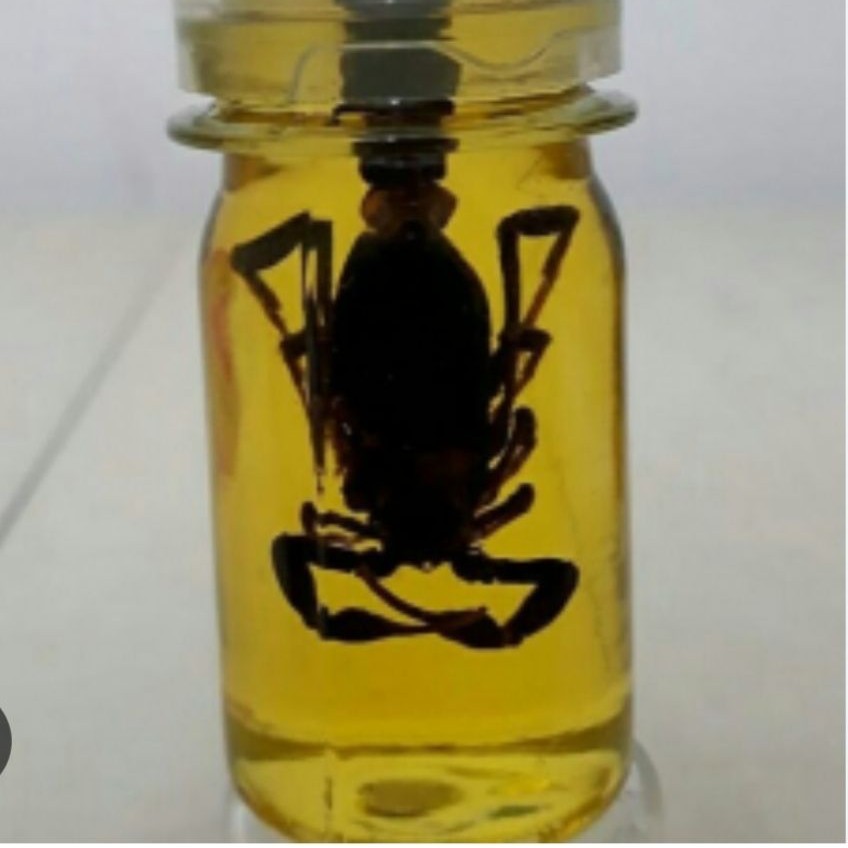 روغن  عقرب ارگانیک و اصل ،50سی سی