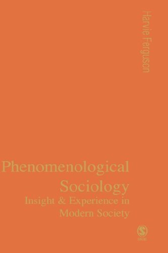 خرید و دانلود نسخه کامل کتاب Phenomenological Sociology: Experience and Insight in Modern Society - PDF
