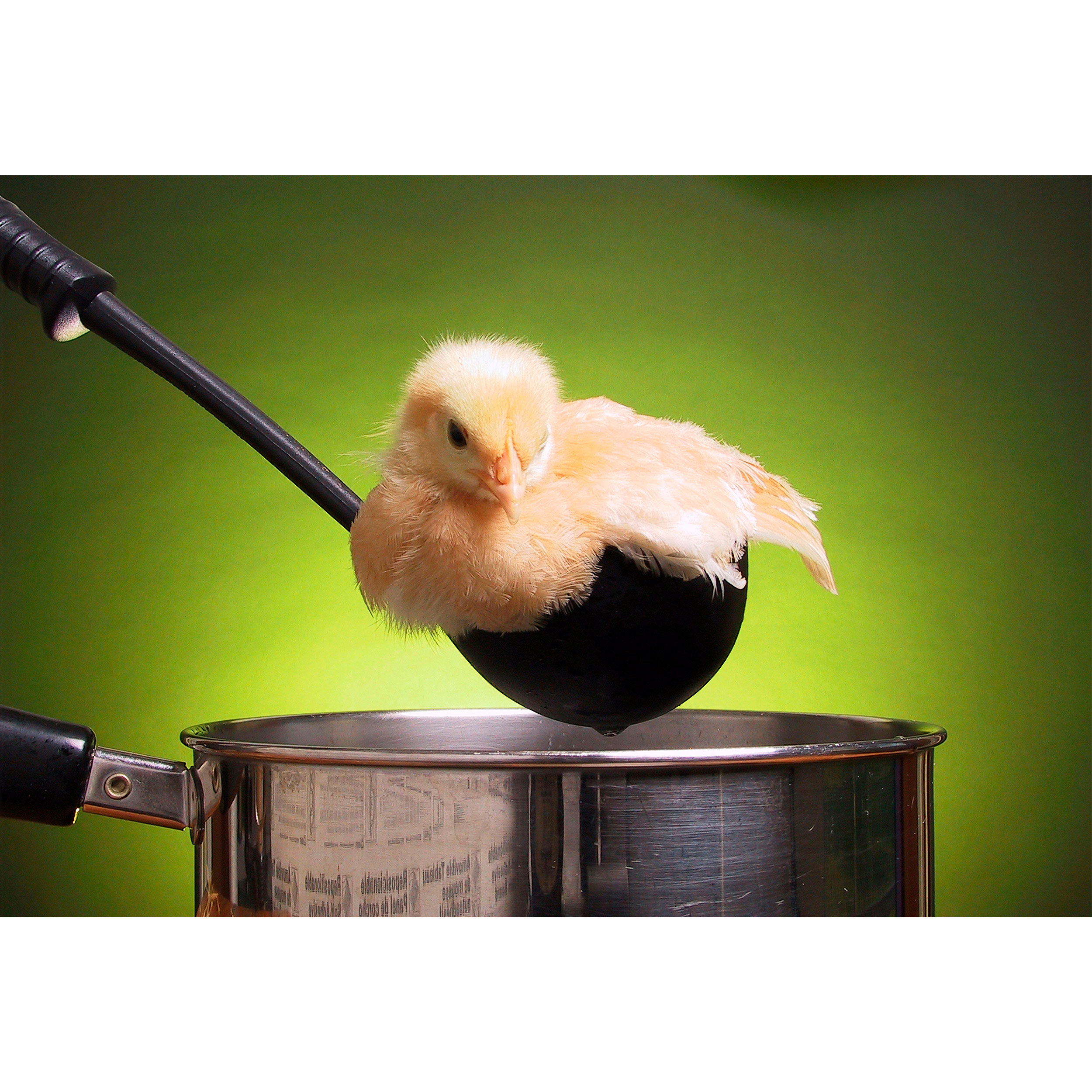 تابلو شاسی مدل جوجه و ملاقه و قابلمه T5853