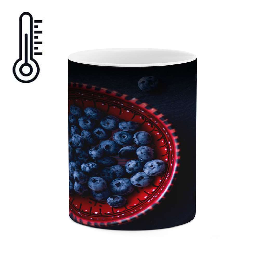 ماگ حرارتی کاکتی طرح میوه مدل mgh14410