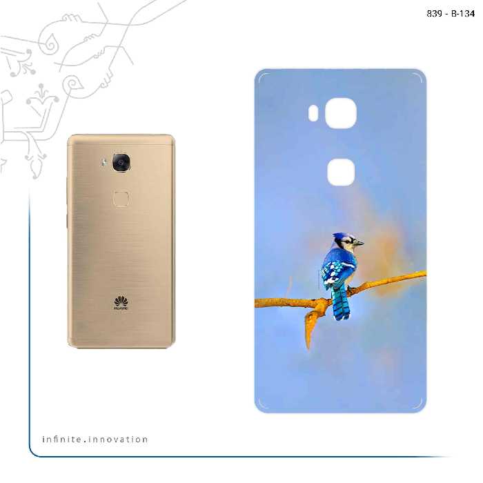 برچسب پوششی ماهوت مدل Cyanocitta cristata مناسب برای گوشی موبایل هوآوی GR5