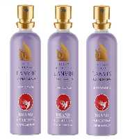  عطر جیبی زنانه برد برند کالکشن مدل اکلت حجم 25 میلی لیتر مجموعه 3 عددی
