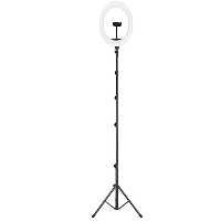 رینگ لایت سه پایه دار جویروم Joyroom JR-ZS228 10inch Ring Light