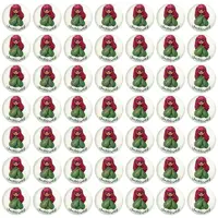پیکسل خندالو مدل  شب یلدا کد 3179 بسته 49 عددی
