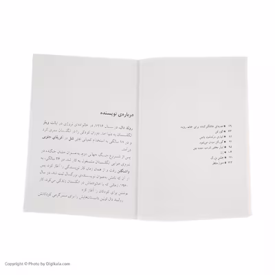 کتاب آقای روباه شگفت انگیز اثر رولد دال نشر افق 
