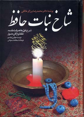 شاخ نبات حافظ (شرح غزل ها همراه با مقدمه،تلفظ واژگان دشوار،درست خوانی ابیات و..)