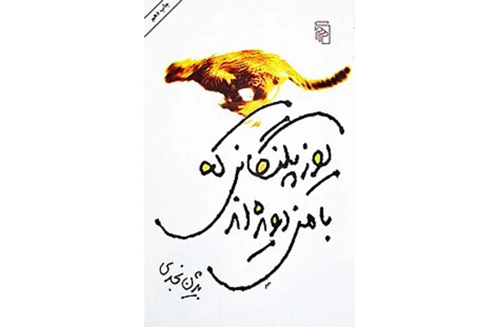 یوزپلنگانی که با من دویده اند – بیژن نجدی – نشر مرکز