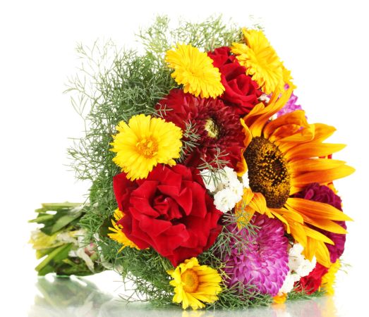 خرید و دانلود عکس Flower-Part-3 کد 17799 | پیک فاکس | Pic Fox