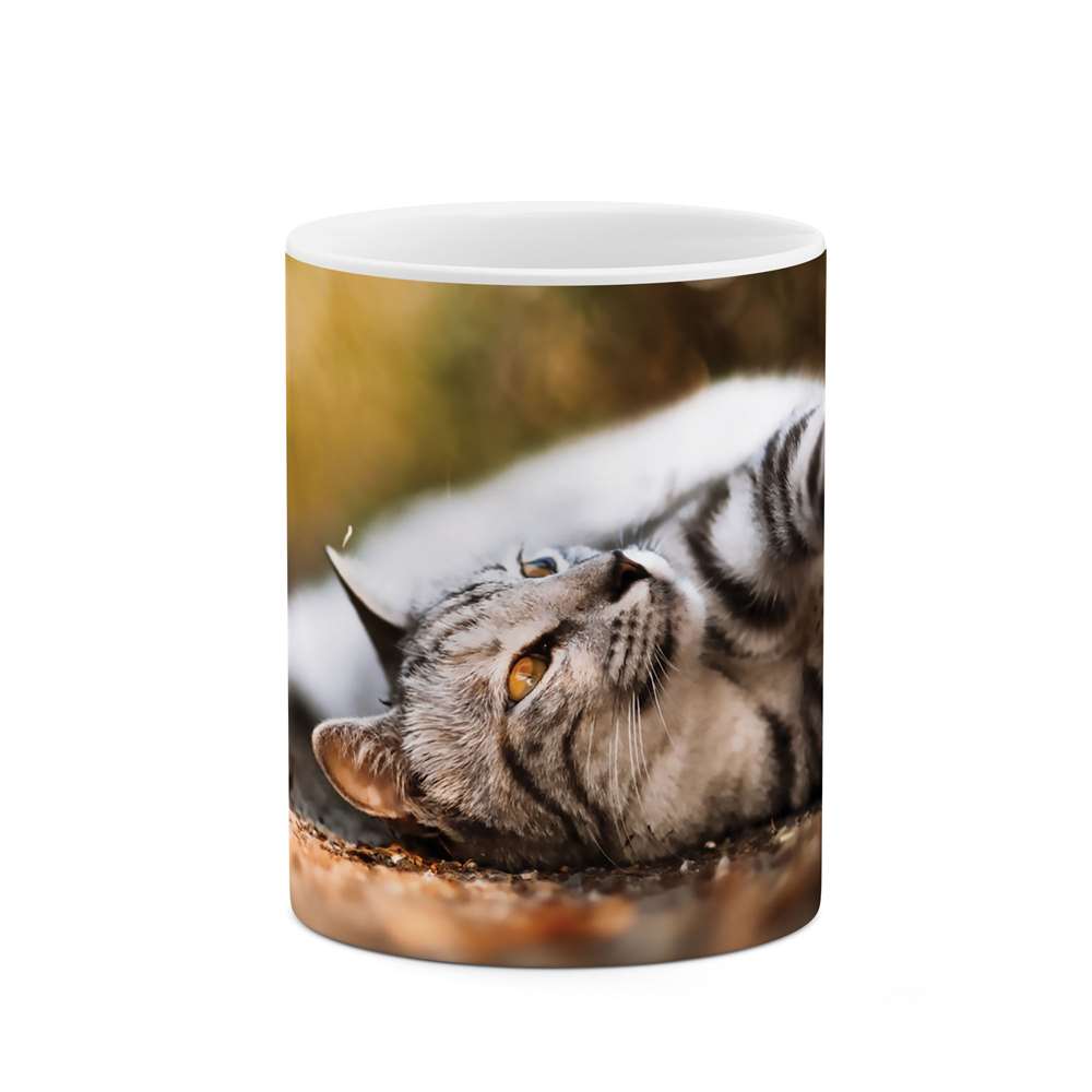 ماگ طرح سیاهگوش مدل mug04576