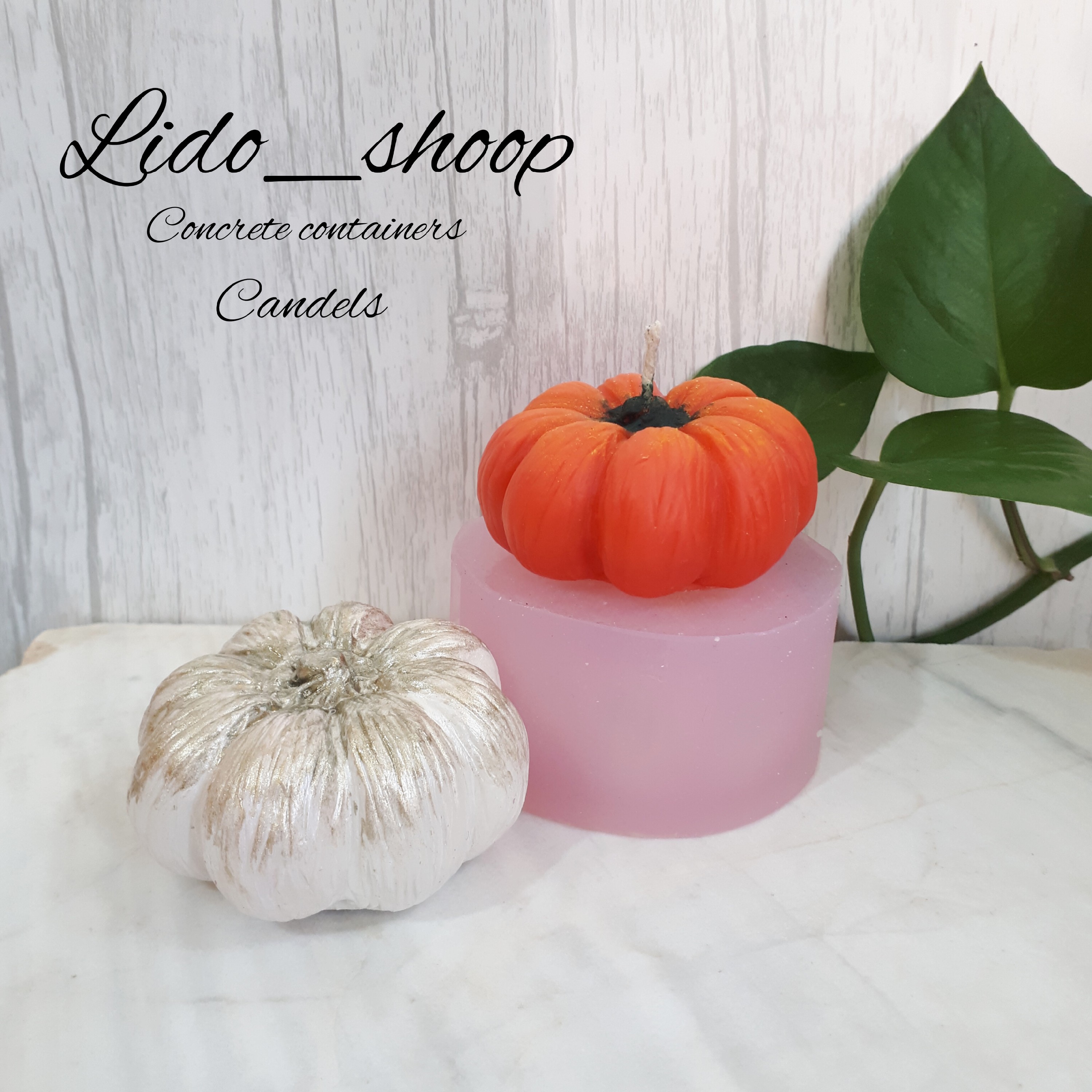 شمع کدو پهن (تک و عمده)