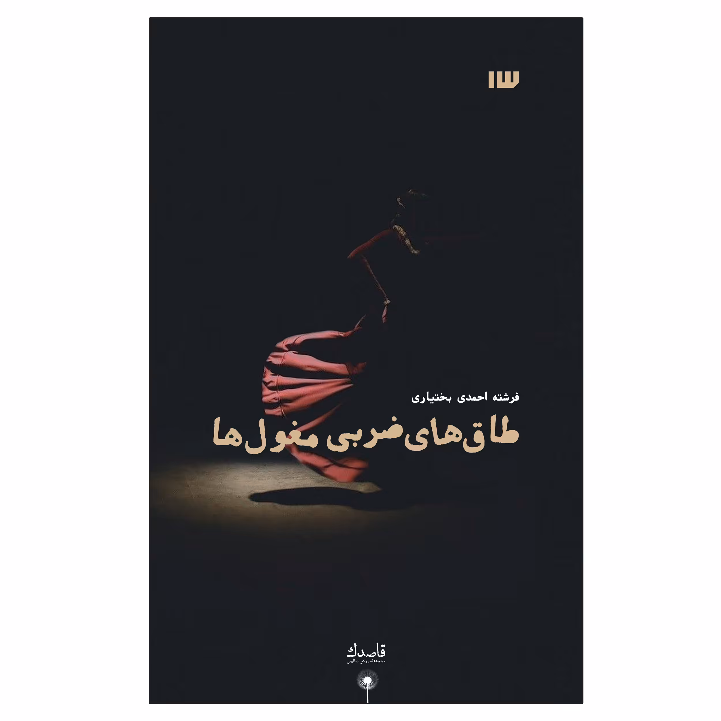 کتاب طاق‌های ضربی مغول‌ها اثر فرشته احمدی بختیاری انتشارات سیزده