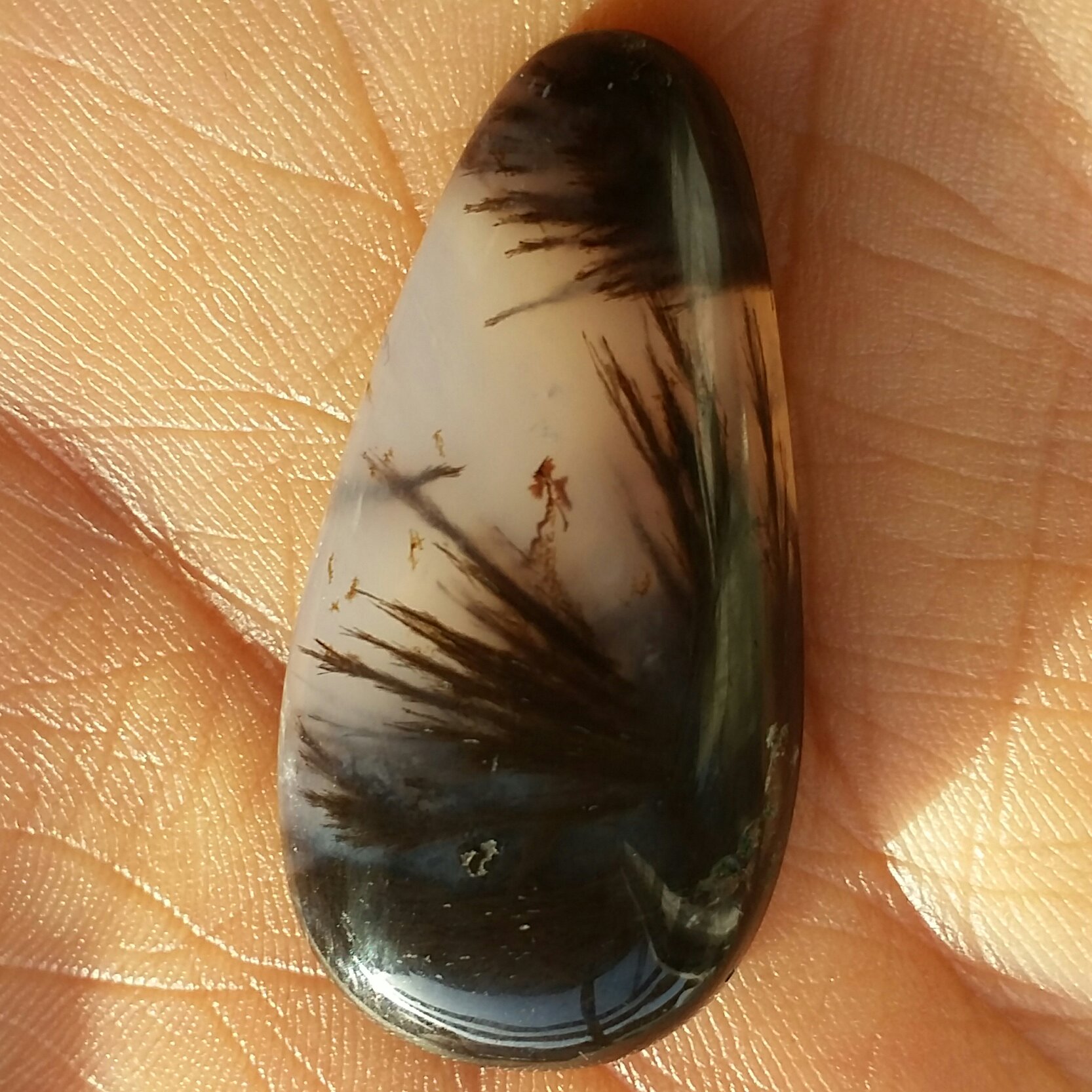 نگین عقیق رتایل مشکی بسیار کمیاب و خاص چشم نواز سایز بسیار درشت مدالی
کاملا طبیعی شااااهکار خلقت خارق العاده