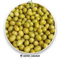 زیتون شور خوش طعم 7 کیلویی 