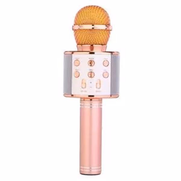 میکروفون اسپیکر مدل WS-858