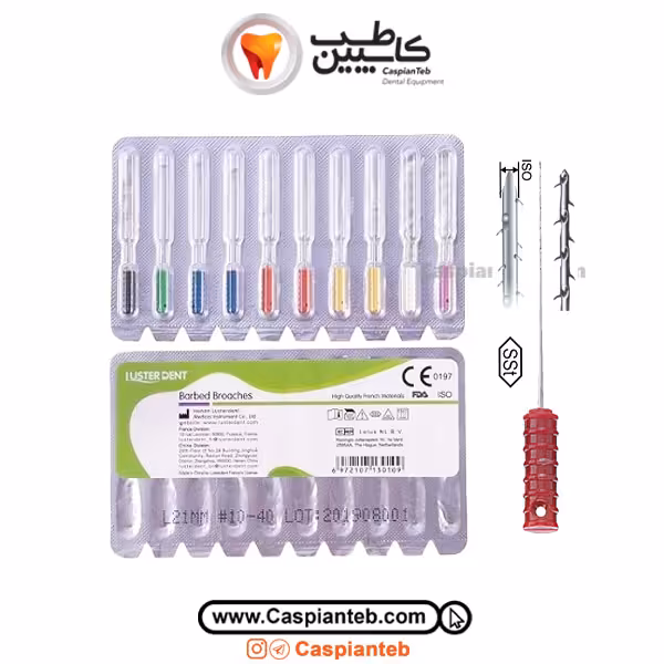 باربدبروچ لاستردنت Broaches Luster Dent