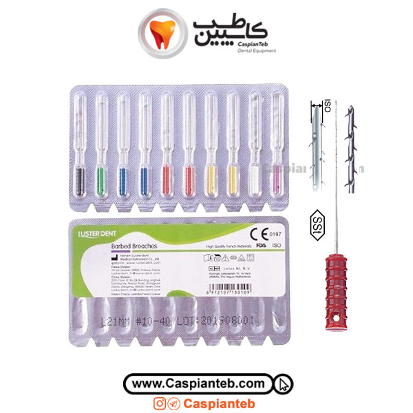 باربدبروچ لاستردنت Broaches Luster Dent