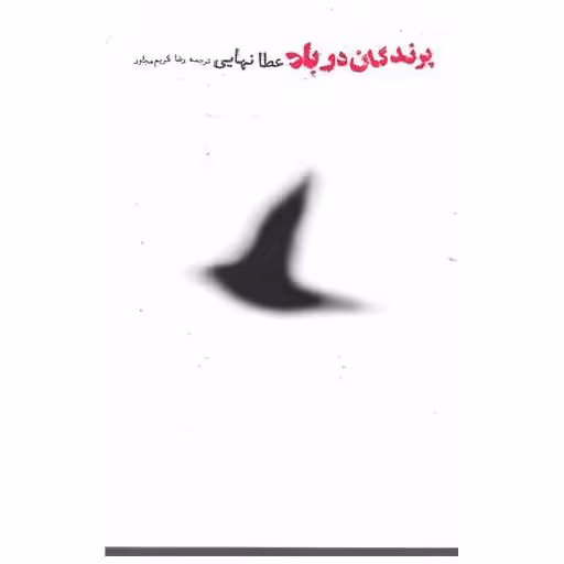کتاب پرندگان در باد اثر عطا نهایی