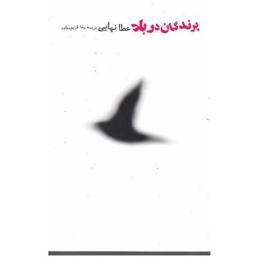 کتاب پرندگان در باد اثر عطا نهایی