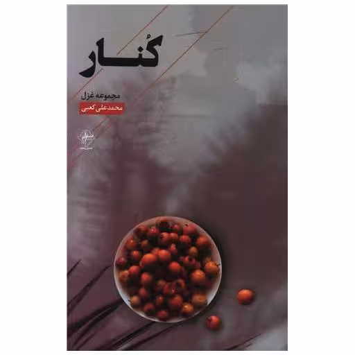 کتاب کنار اثر محمدعلی کعبی