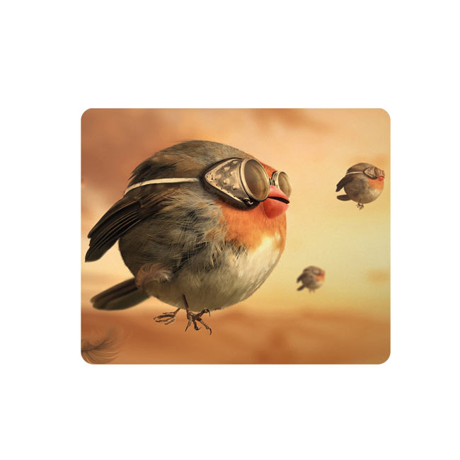 ماوس پد طرح گنجشک کد DDS084