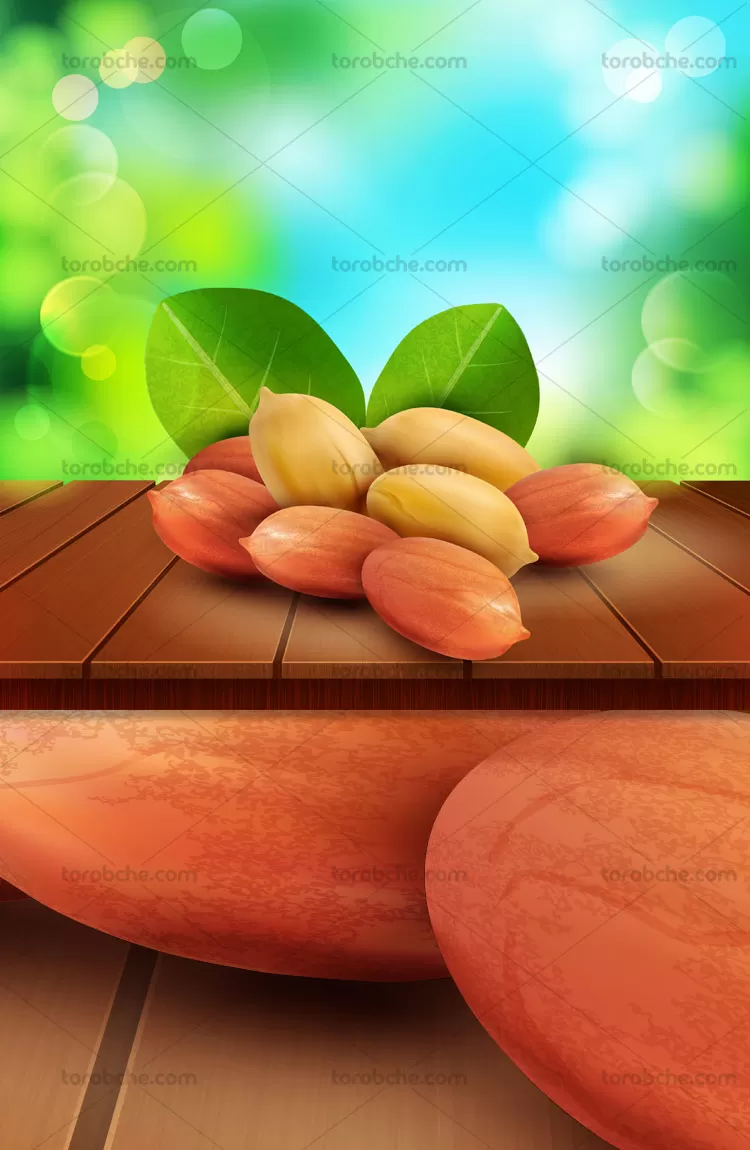 وکتور بادام زمینی و میز چوبی | گرافیک با طعم تربچه