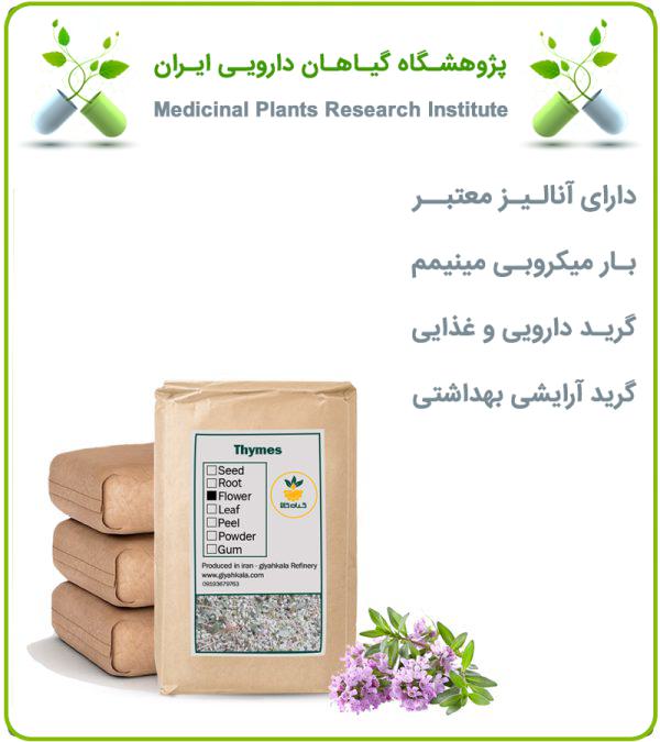 گل آویشن خشک فله