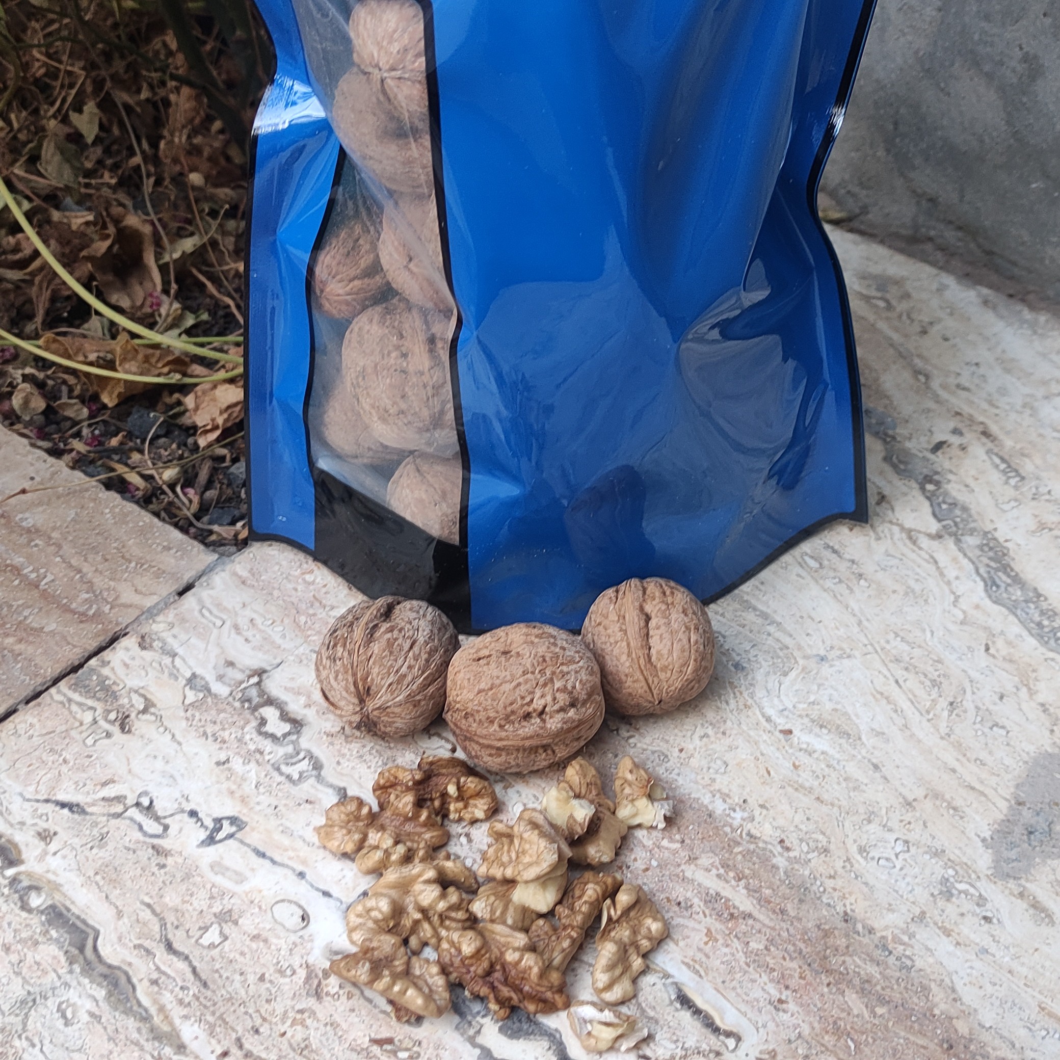 گردو پوست کاغذی سفید 