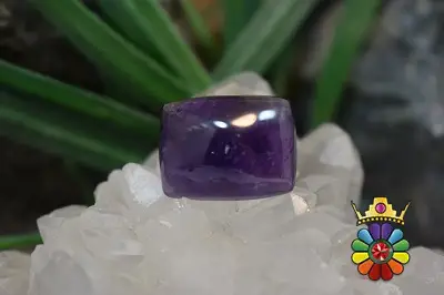 امتیست دامله(کاپوشی)