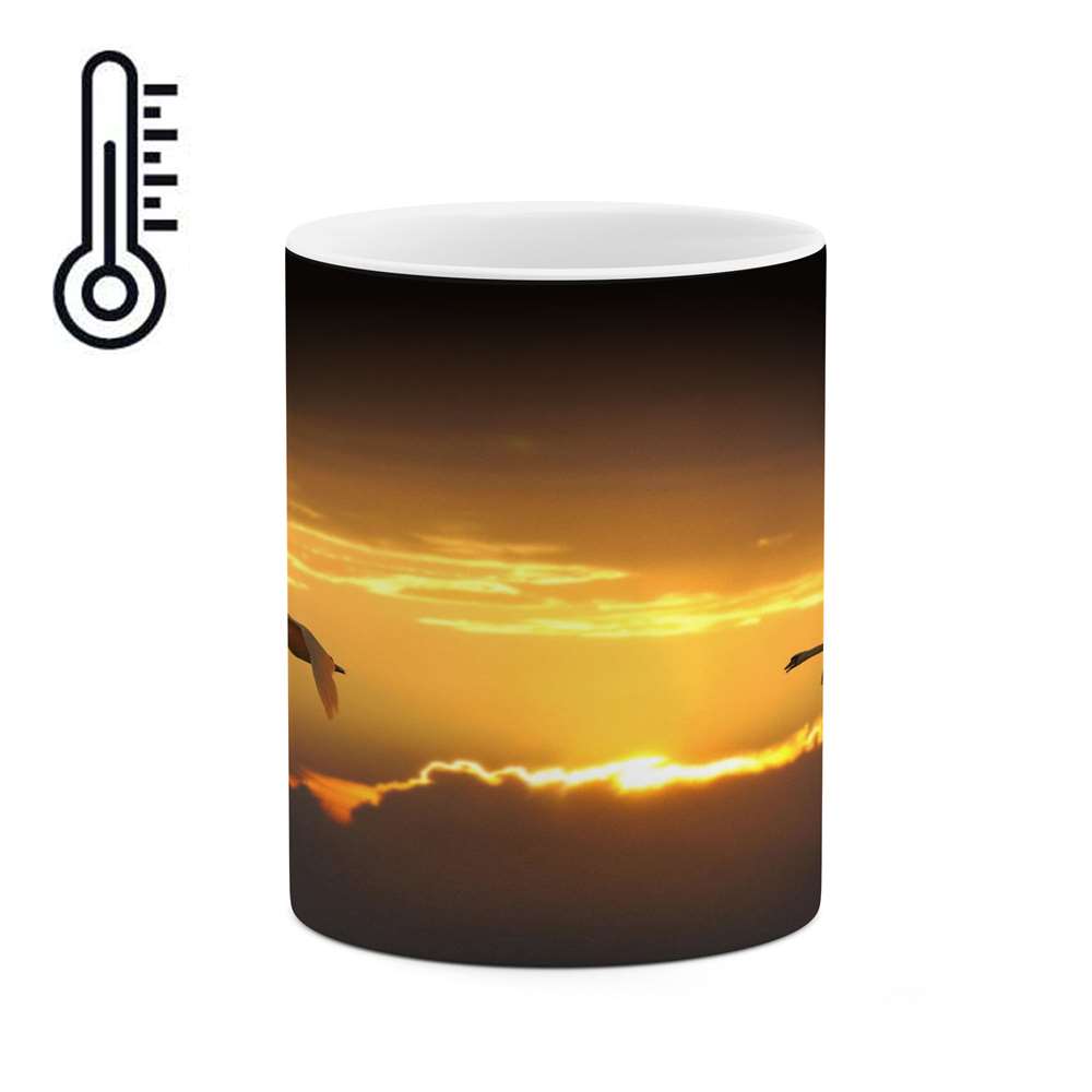 ماگ حرارتی کاکتی طرح غروب مدل mgh14688