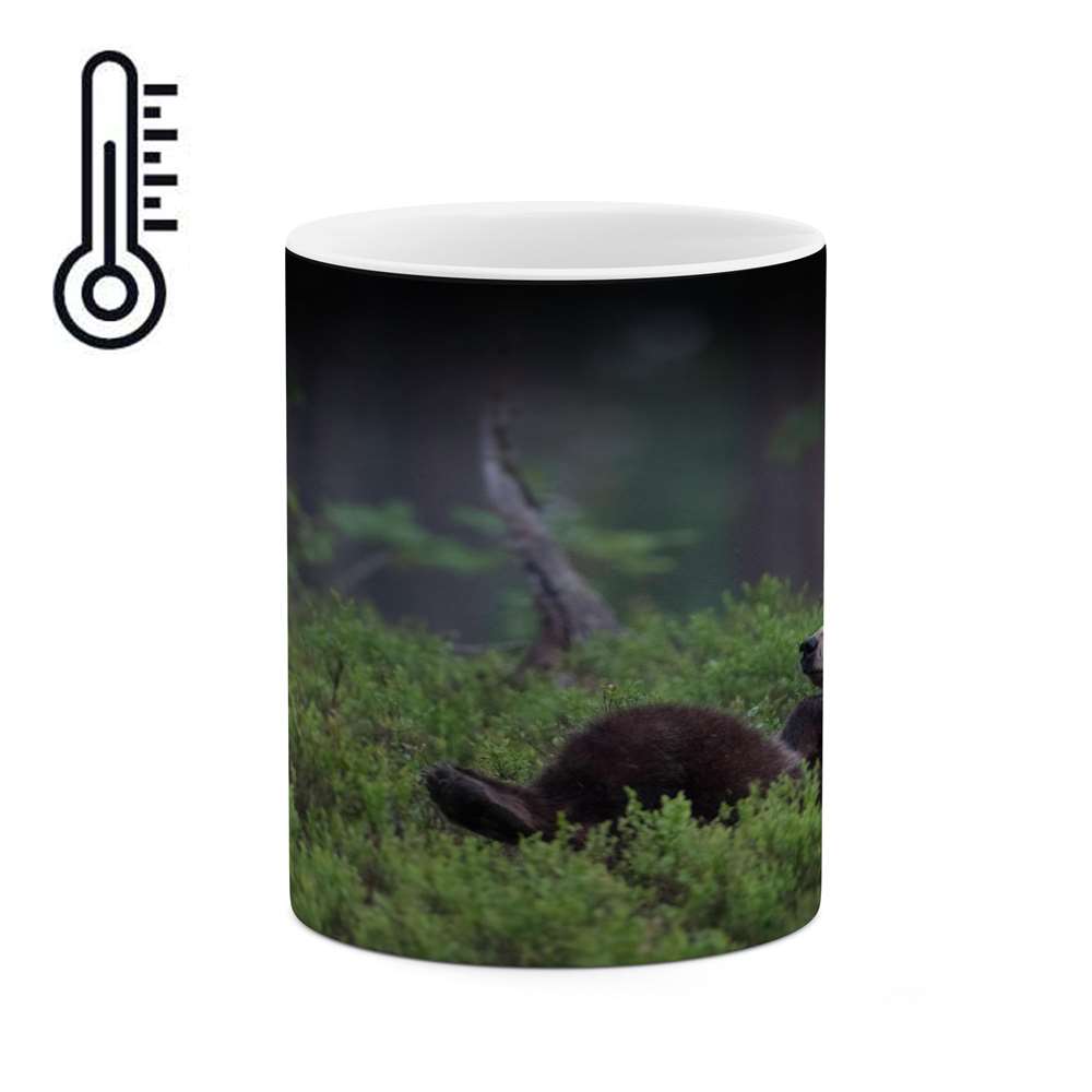 ماگ حرارتی کاکتی طرح خرس مدل mgh14165