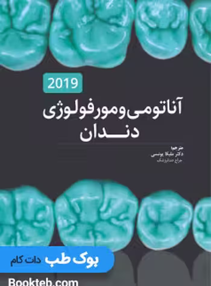 آناتومی و مورفولوژی دندان هیلتون