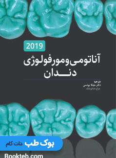آناتومی و مورفولوژی دندان هیلتون