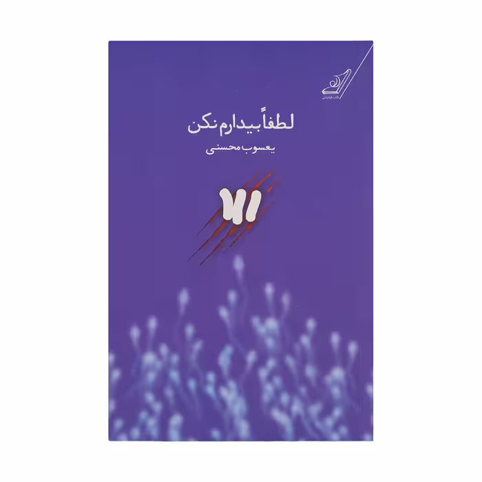 کتاب لطفا بیدارم نکن اثر یعسوب محسنی انتشارات کوله پشتی 