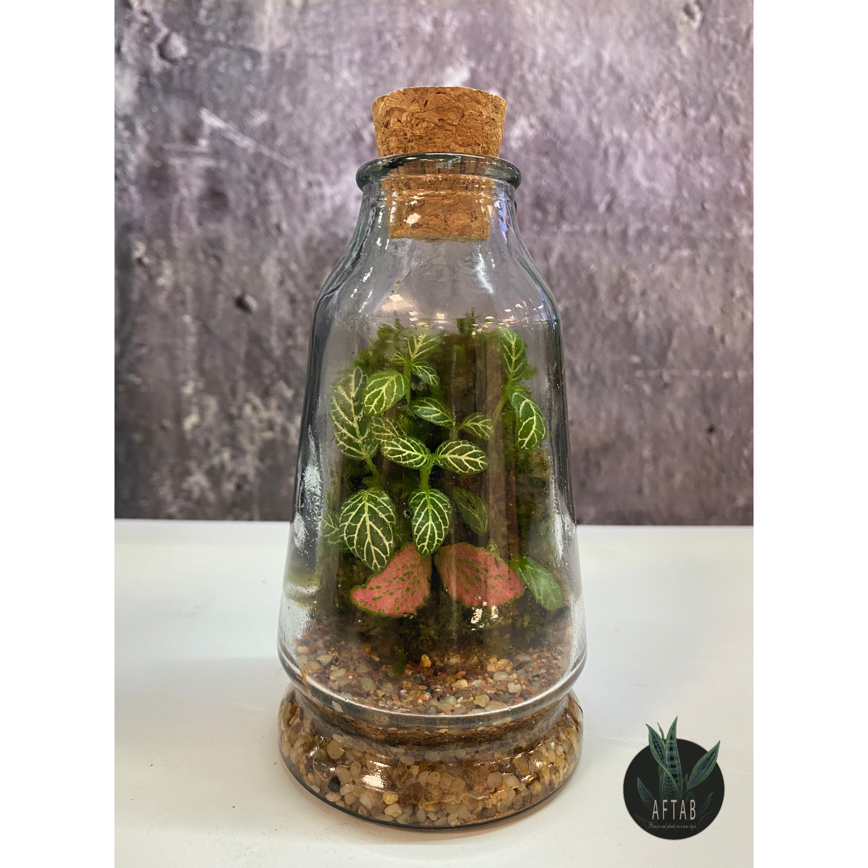 تراریوم شیشه ای 