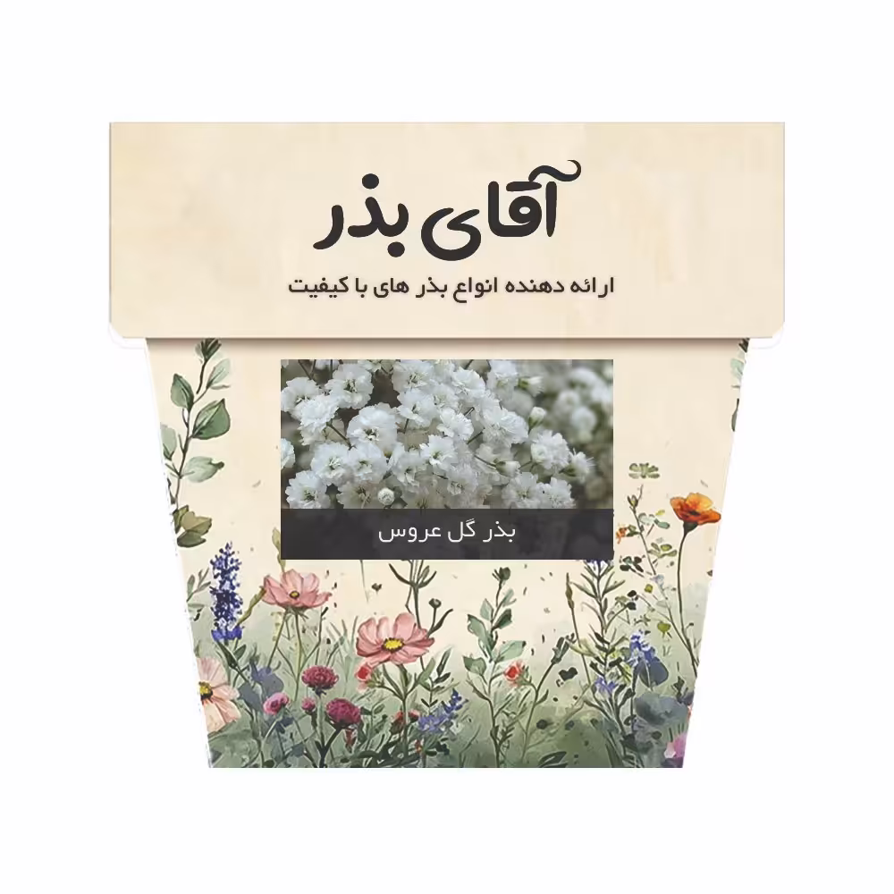 بذر گل عروس سفید آقای بذر - 1000 عدد