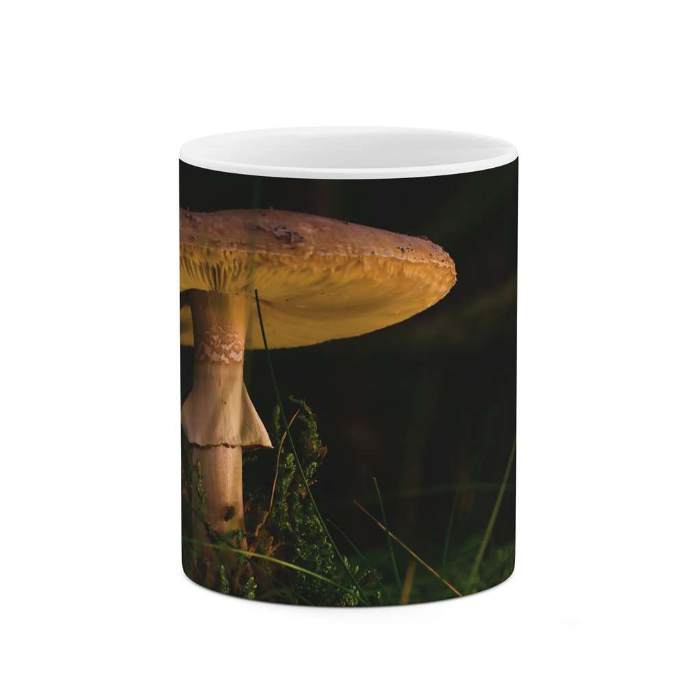 ماگ طرح قارچ مدل mgs07200