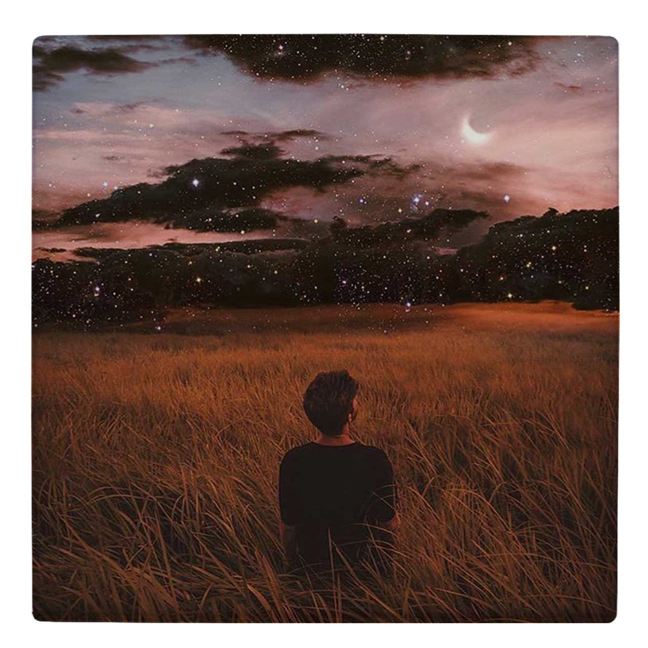 کاشی کارنیلا کد wk526