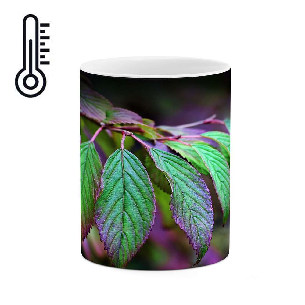 ماگ حرارتی کاکتی طرح برگ مدل mgh17274