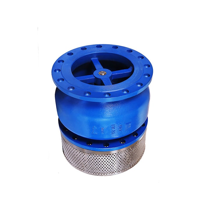 شیر یکطرفه سوپاپی مکش میراب