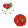 پیکسل گیفت پیکو طرح شب یلدا کد p110 مجموعه 2 عددی